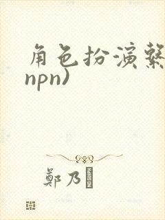 角色扮演系统(npn)