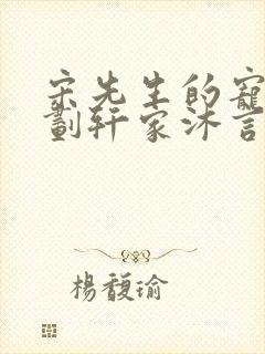 宋先生的宠妻计划轩家沐言