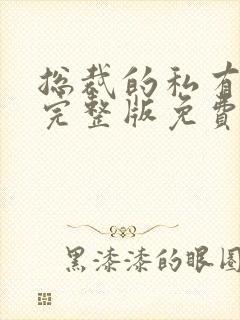 总裁的私有宝贝完整版免费阅读