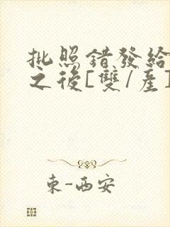 批照错发给情敌之后[双/产]