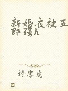 新婚夜被五个伴郎强h