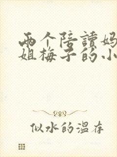 两个陪读妈妈赵姐梅子的小说