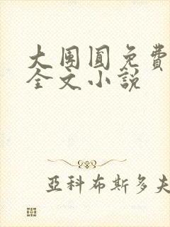 大团圆免费阅读全文小说