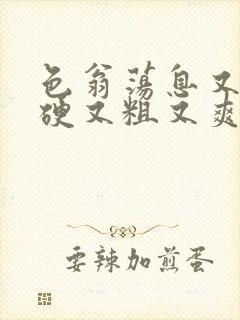 色翁荡息又大又硬又粗又爽电影