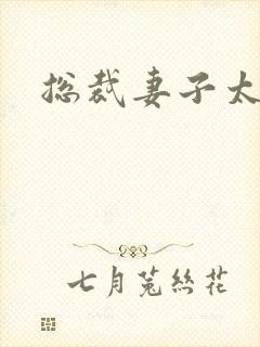 总裁妻子太诱人