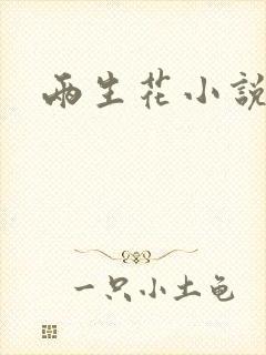 两生花小说