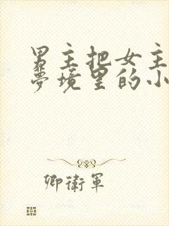 男主把女主拖进梦境里的小说封面