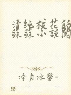 清纯校花的日常苏苏小说阅读全文