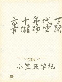 六十年代下乡知青储物空间