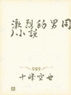 激烈的男同(h)小说