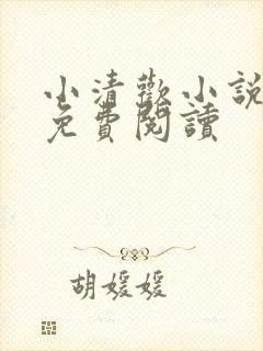 小清欢小说全文免费阅读