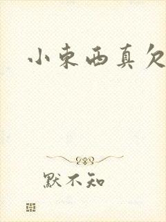 小东西真欠弄