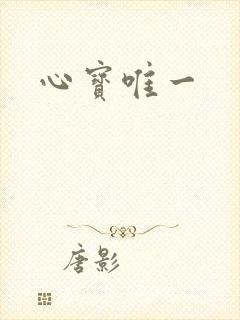 心宝唯一
