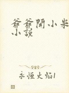 爷爷开小米的包小说
