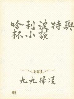 哈利波特与火焰杯小说