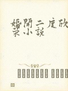 婚开二度欣欣向荣小说