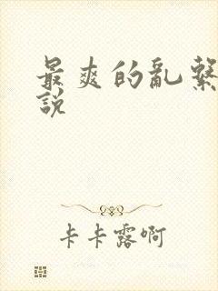 最爽的乱系列小说