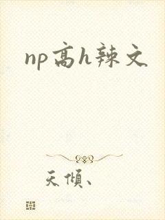 np高h辣文
