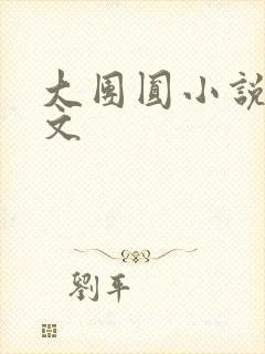 大团圆小说集全文