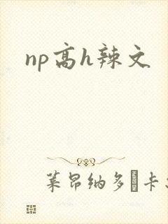 np高h辣文