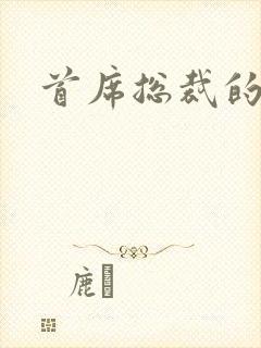 首席总裁的逃妻