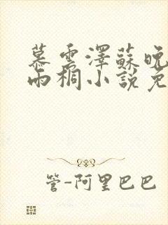 慕云泽苏晚晴夏雨桐小说免费阅读