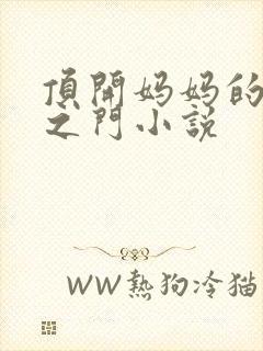 顶开妈妈的生命之门小说