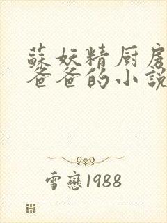 苏妖精厨房爹爹爸爸的小说