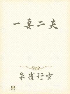 一妻二夫