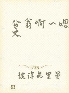 公翁啊～嗯啊h文