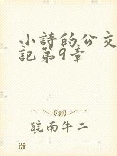 小诗的公交车日记第9章