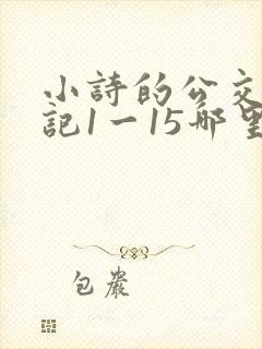 小诗的公交车日记1一15哪里能看