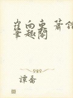 崔向东 萧错 笔趣阁