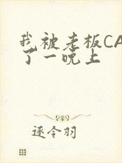 我被老板CAO了一晚上