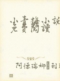 小青梅小说全文免费阅读