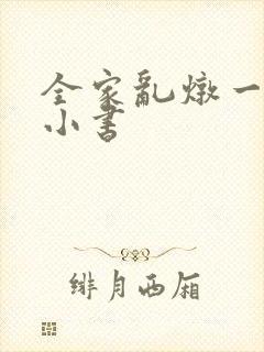 全家乱炖一锅烩小书