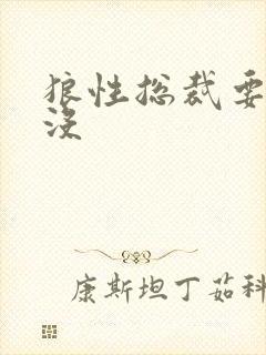狼性总裁要够了没