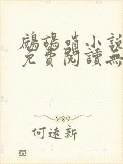 鹧鸪哨小说网站免费阅读无弹窗