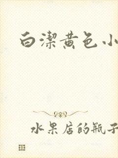 白洁黄色小说
