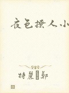 夜色撩人小说
