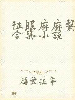 征服麻麻系列大合集小说