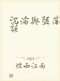 沉沦与堕落的小说