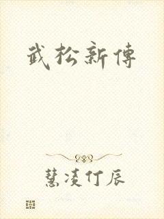 武松新传