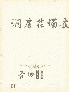 洞房花烛夜小说