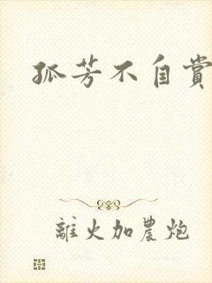 孤芳不自赏小说
