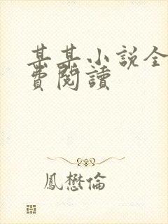 某某小说全文免费阅读