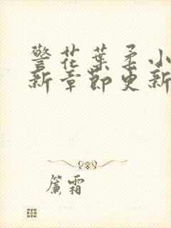 警花叶柔小说最新章节更新