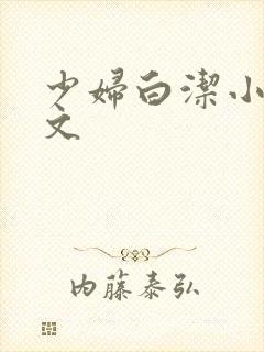 少妇白洁小说全文