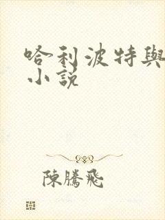 哈利波特与密室小说