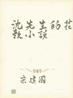 沈先生的花式调教小说